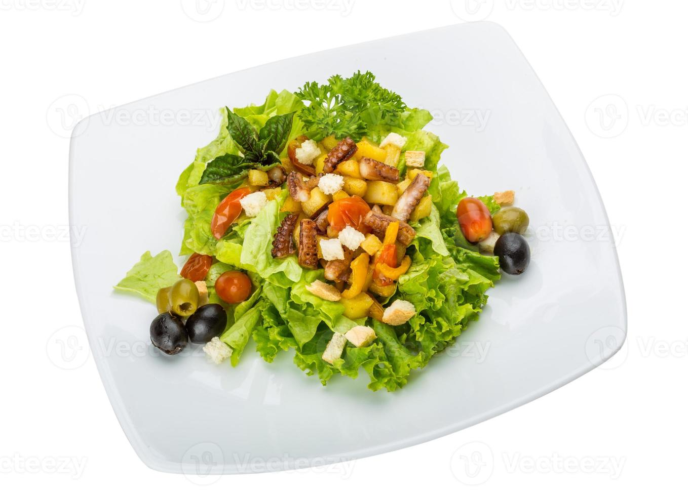 Octopus salad on the plate and white background photo