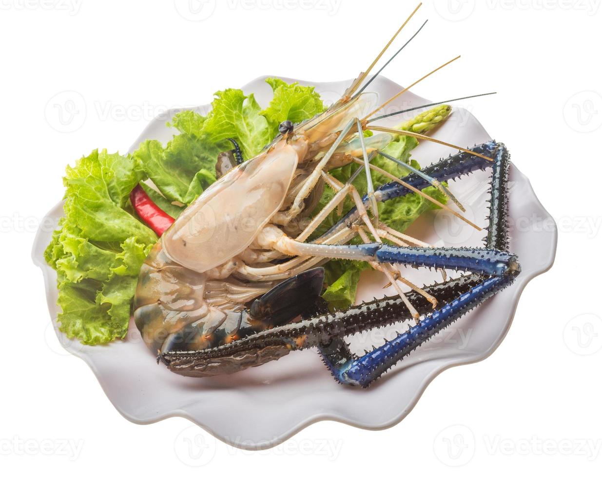 Freshwater prawn on the plate and white background photo