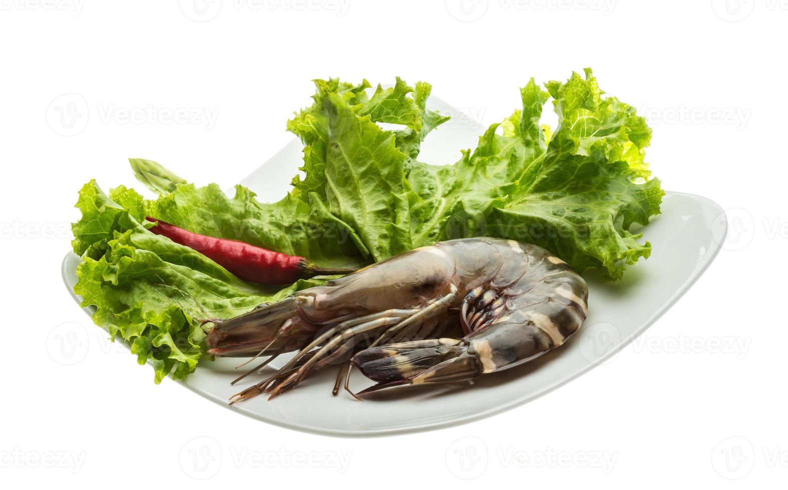 Tiger prawn on the plate and white background photo