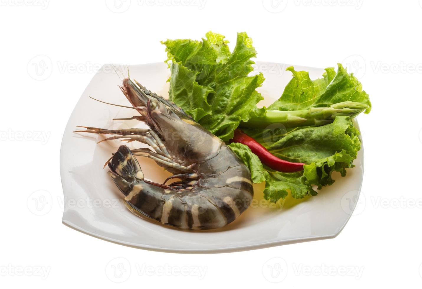 Tiger prawn on the plate and white background photo