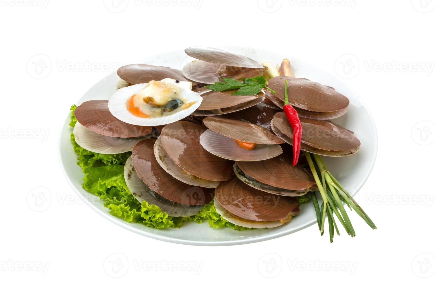 Raw fresh scallops photo
