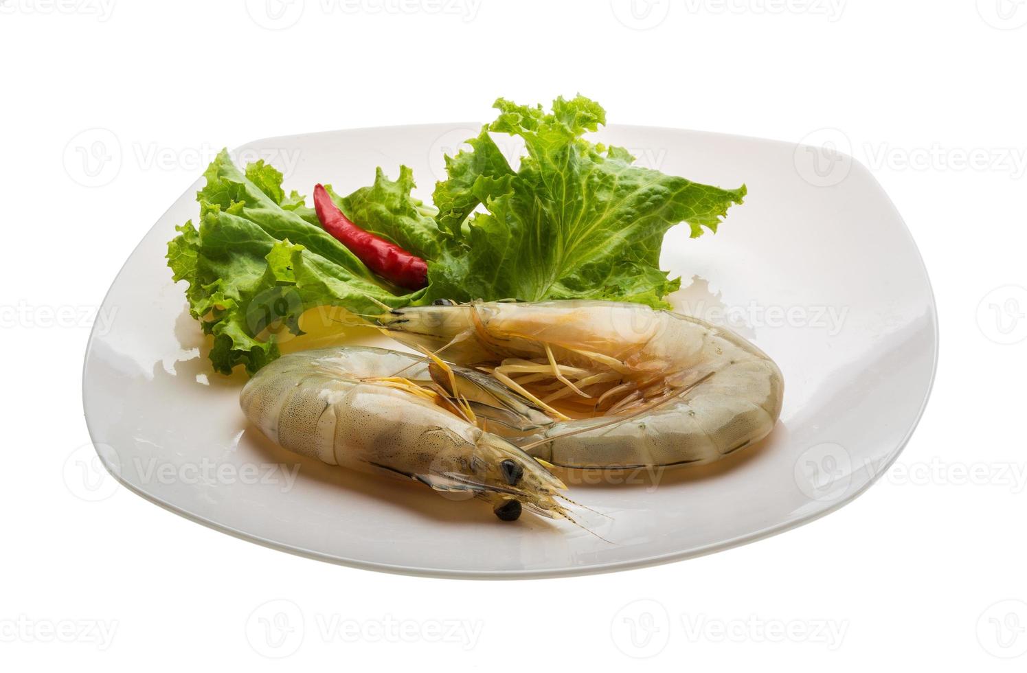 Tiger prawn on the plate and white background photo