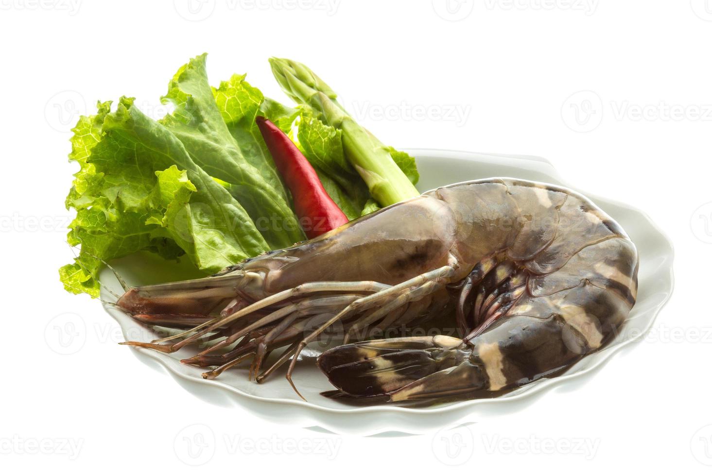 Tiger prawn on the plate and white background photo