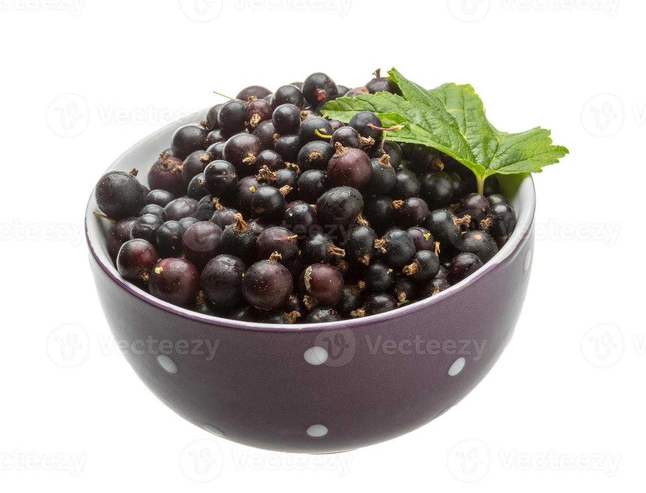 Black currant in a bowl on white background photo
