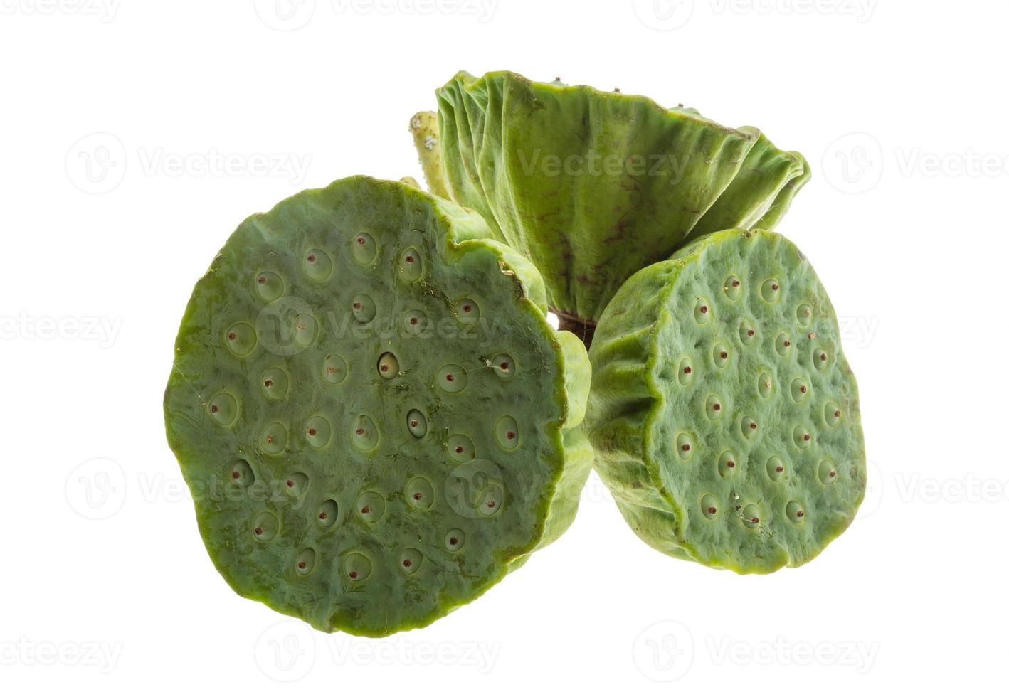 Lotus seeds on white background photo