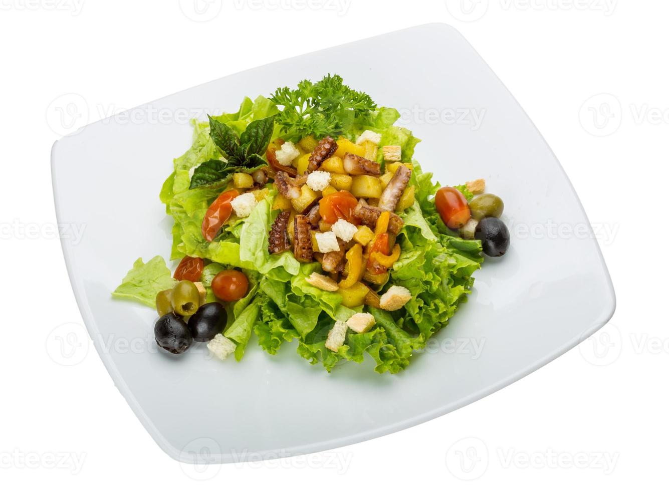 Octopus salad on the plate and white background photo