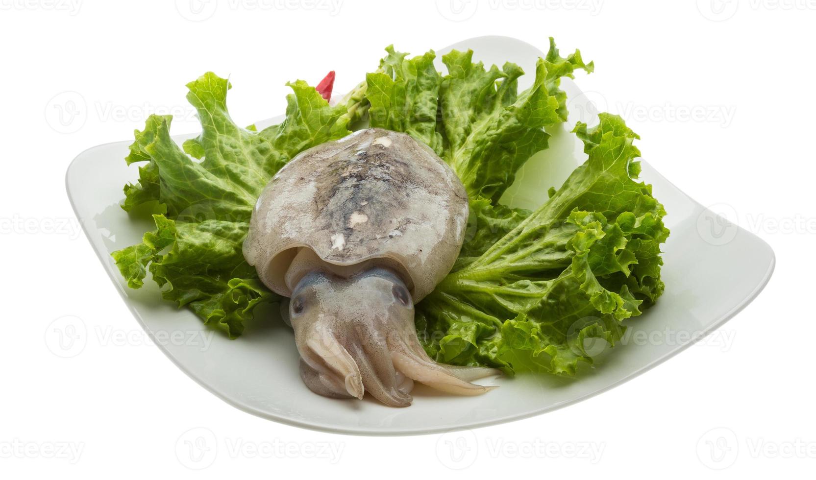 Raw cuttlefish on the plate and white background photo
