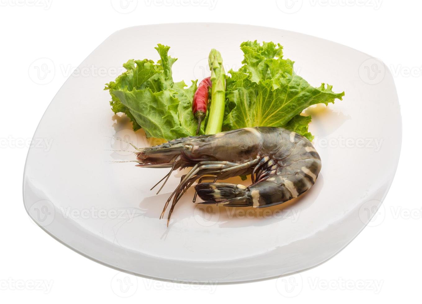 Tiger prawn on the plate and white background photo