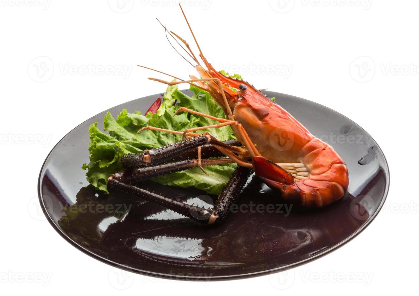 Giant Freshwater Prawn photo