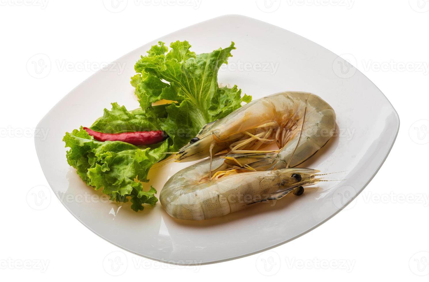Tiger prawn on the plate and white background photo