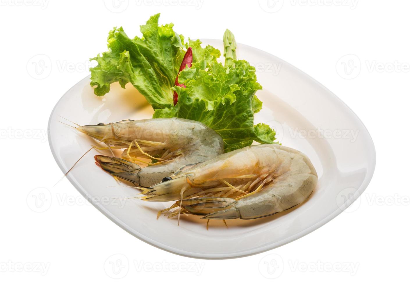 Tiger prawn on the plate and white background photo