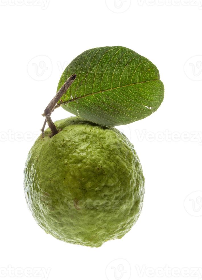 Guava on white background photo