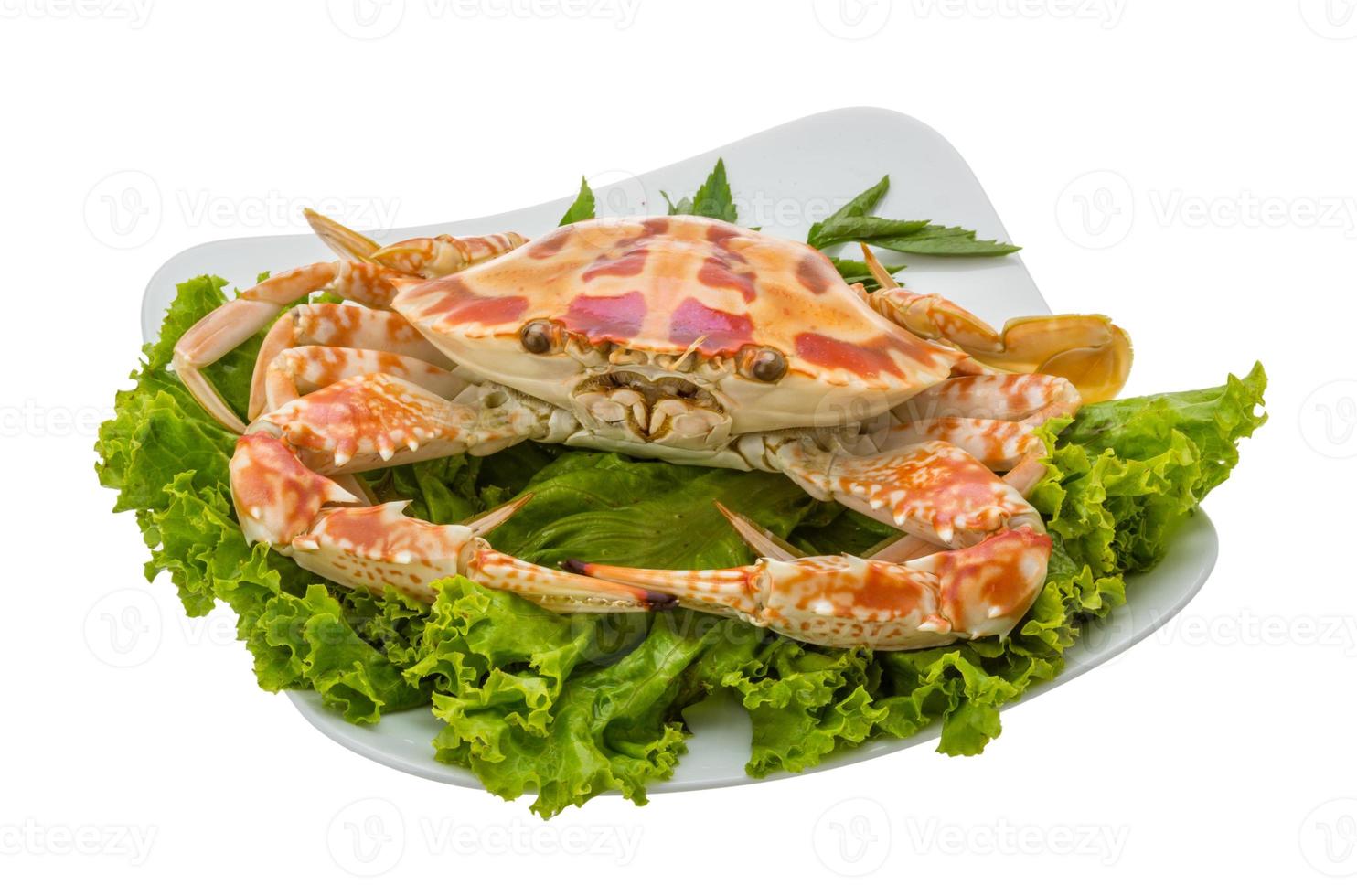 Boiled crab on the plate and white background photo
