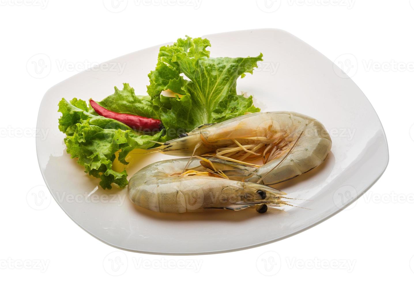 Tiger prawn on the plate and white background photo
