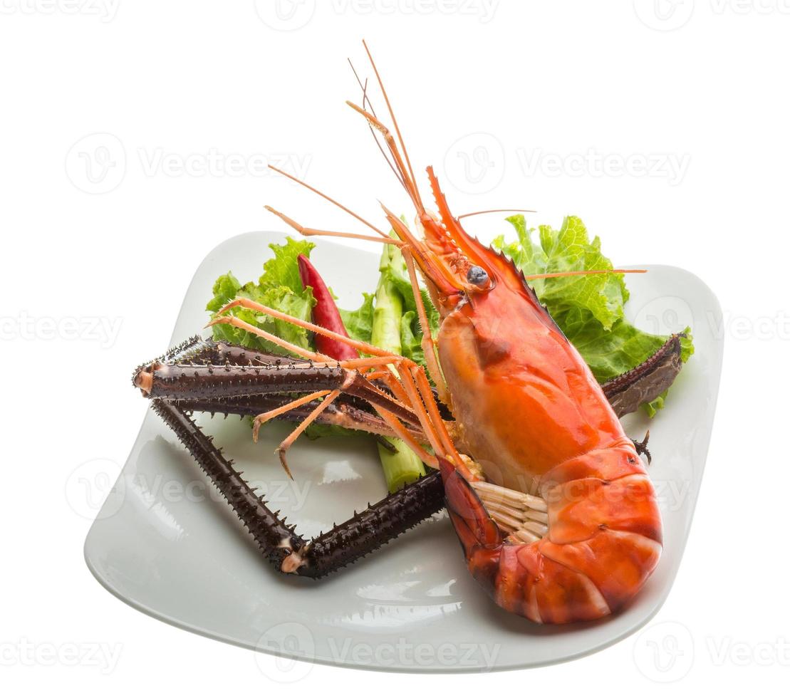 Giant Freshwater Prawn photo