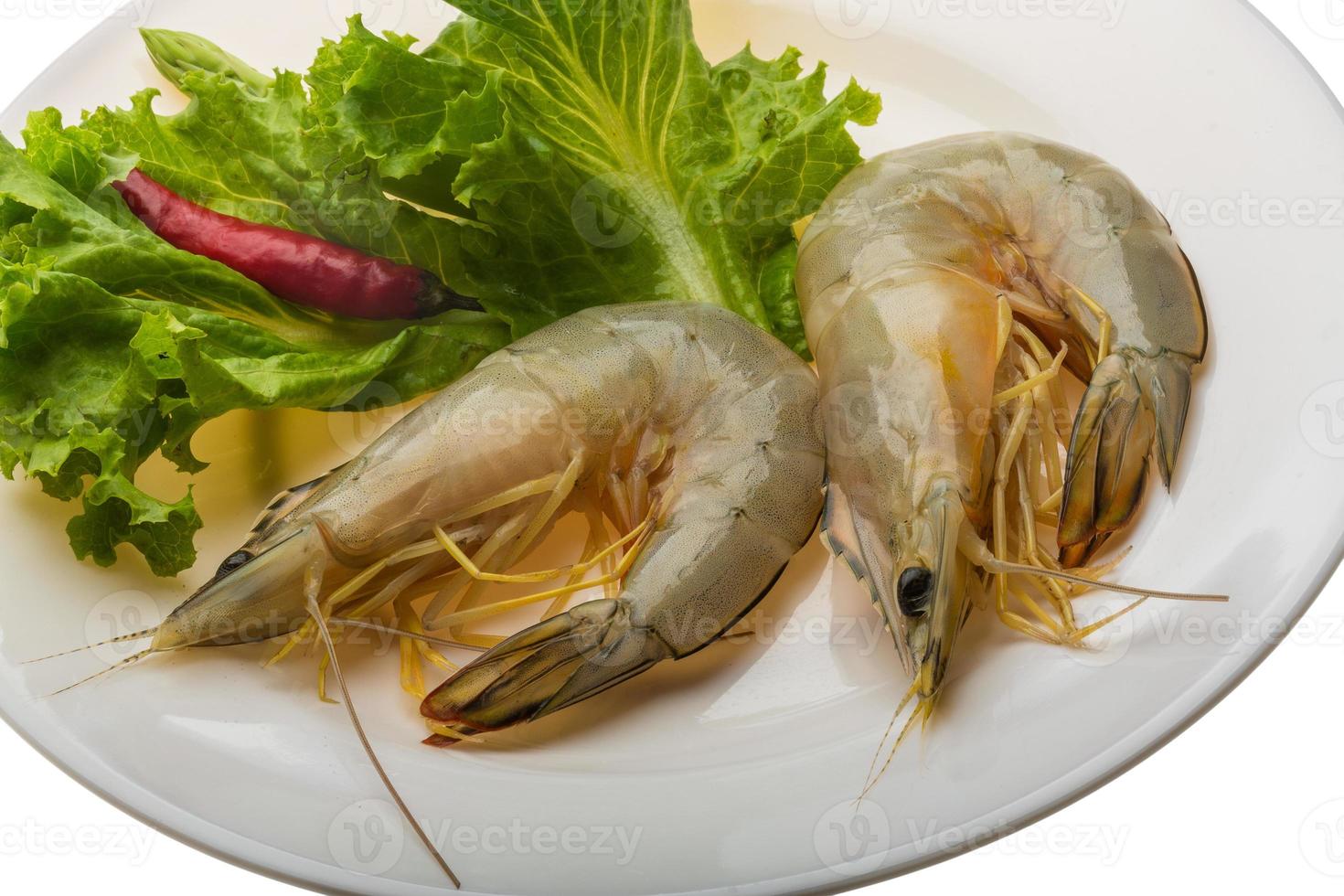 Tiger prawn on the plate and white background photo