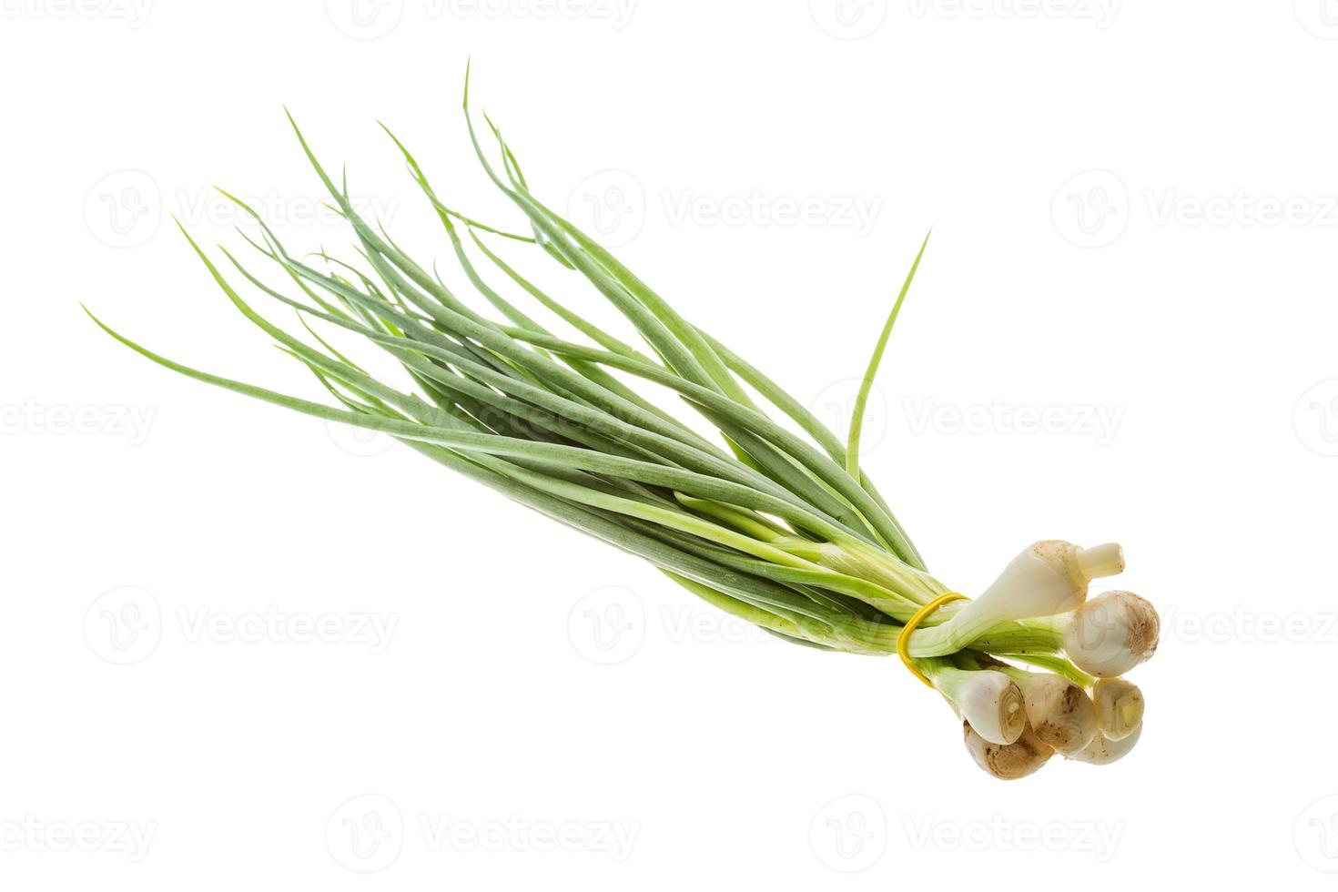 Green onion on white background photo