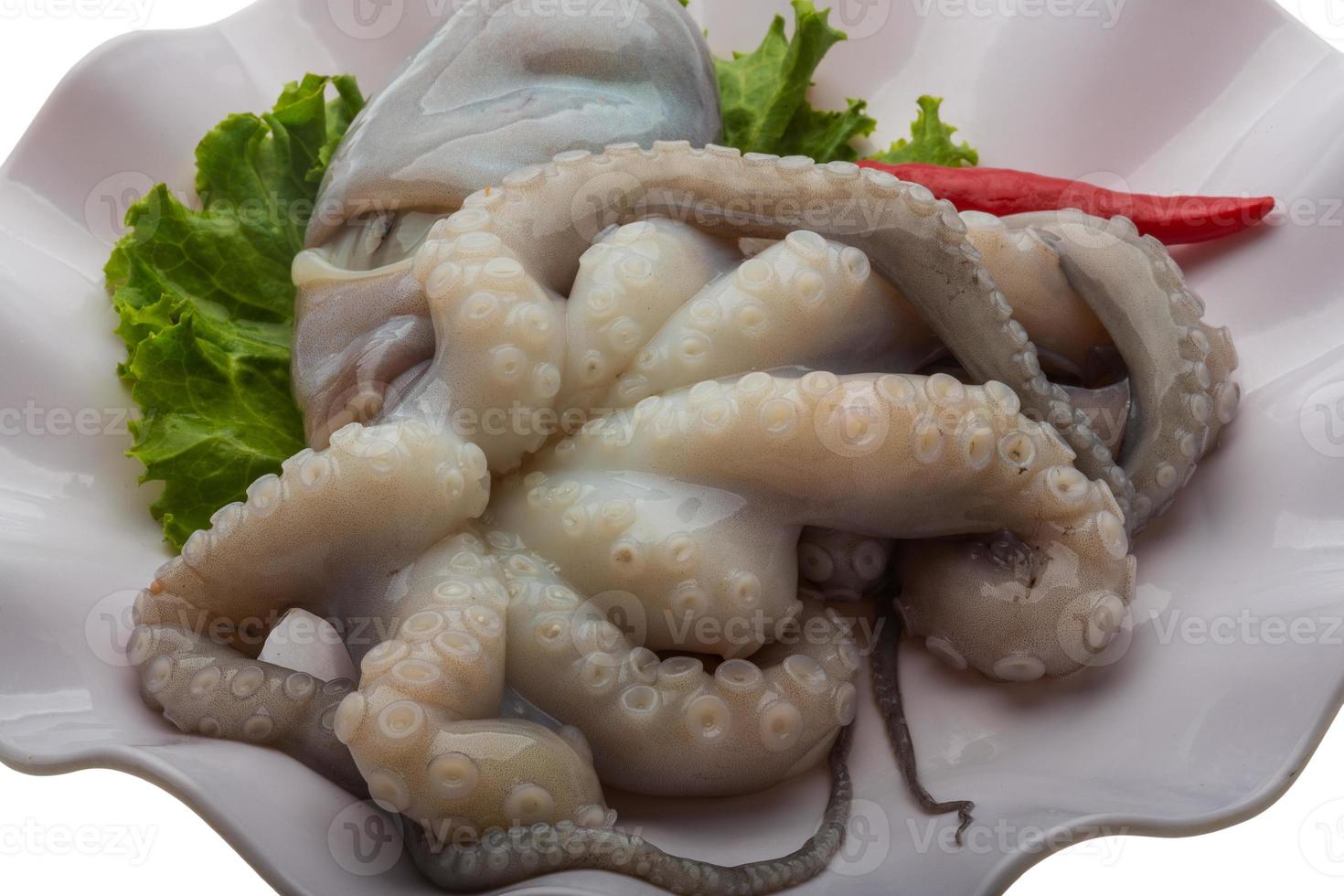 Raw octopus on the plate and white background photo