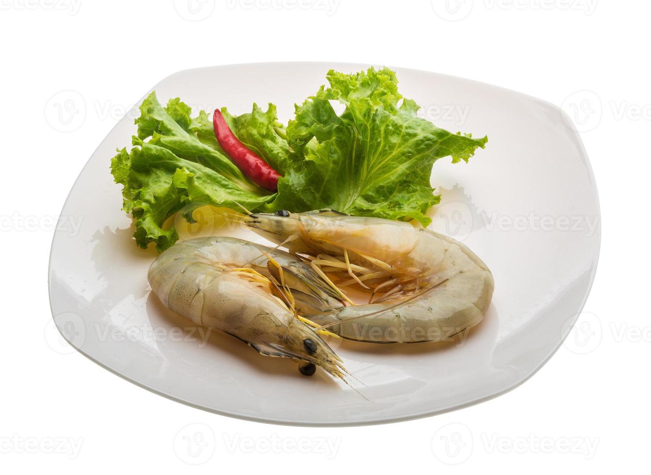Tiger prawn on the plate and white background photo