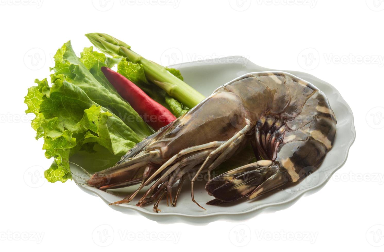 Tiger prawn on the plate and white background photo