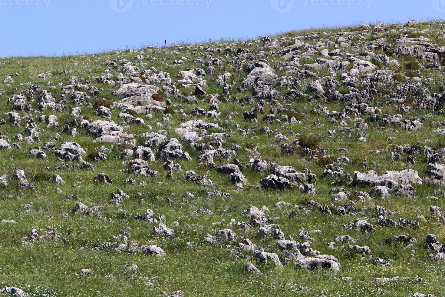 Landscape in the mountains in northern Israel. photo