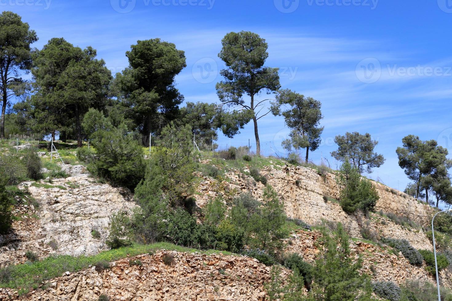 Landscape in the mountains in northern Israel. photo