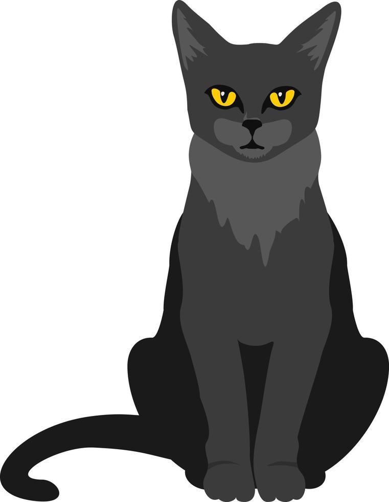 Black cat with yellow eyes, vector illustration. Sitting black cat