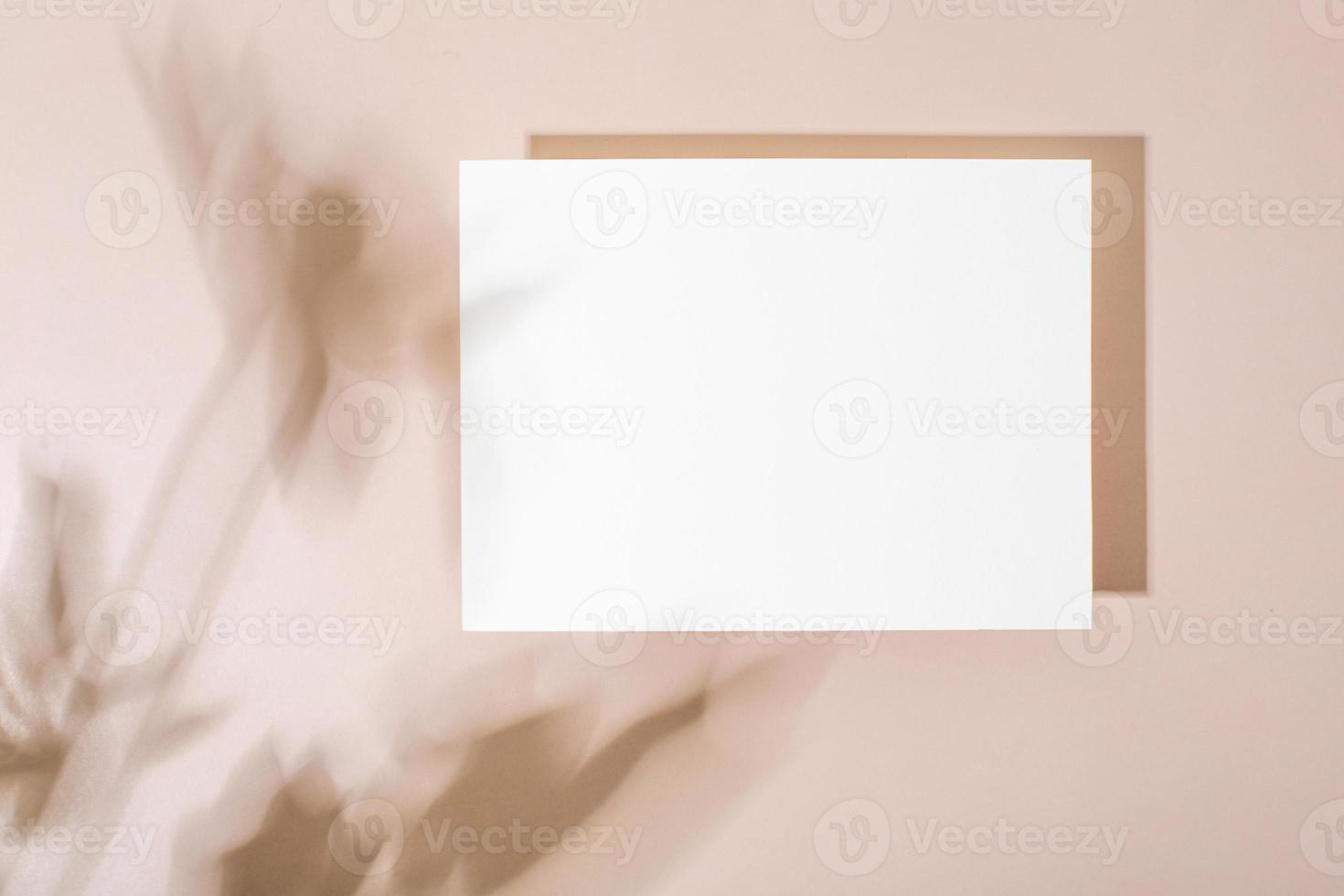 Template paper with green plant shadow on pastel beige background , great design for any purposes. Abstract background. Banner template. Advertising photo