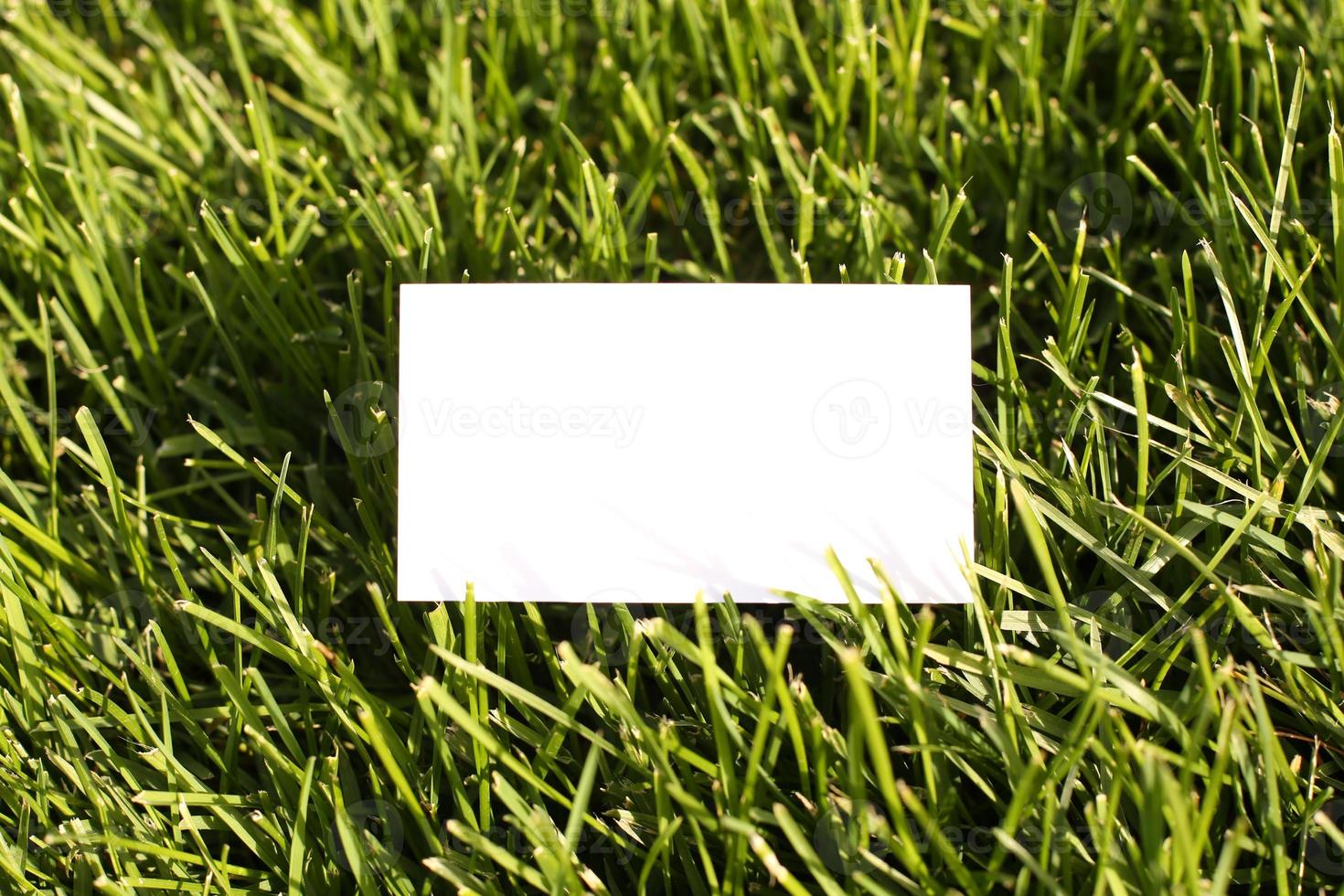 Flat card on leaves outside for web background design. White isolated background. Abstract landscape background. Happy holiday. Web banner template. Natural beauty. photo