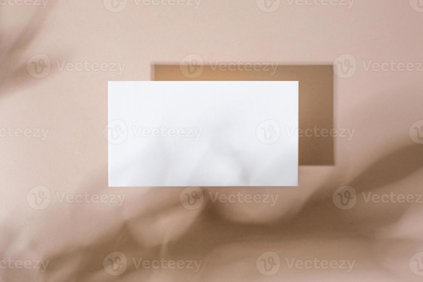 Template paper with green plant shadow on pastel beige background , great design for any purposes. Abstract background. Banner template. Advertising photo
