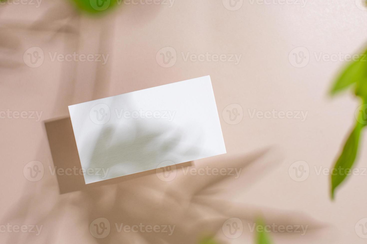 Template paper with green plant shadow on pastel beige background , great design for any purposes. Abstract background. Banner template. Advertising photo