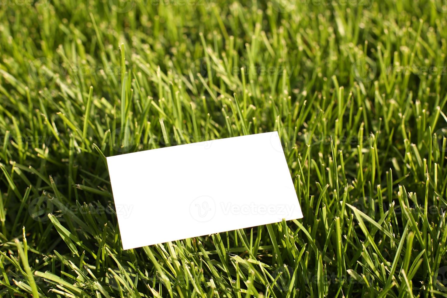 Flat card on leaves outside for web background design. White isolated background. Abstract landscape background. Happy holiday. Web banner template. Natural beauty. photo