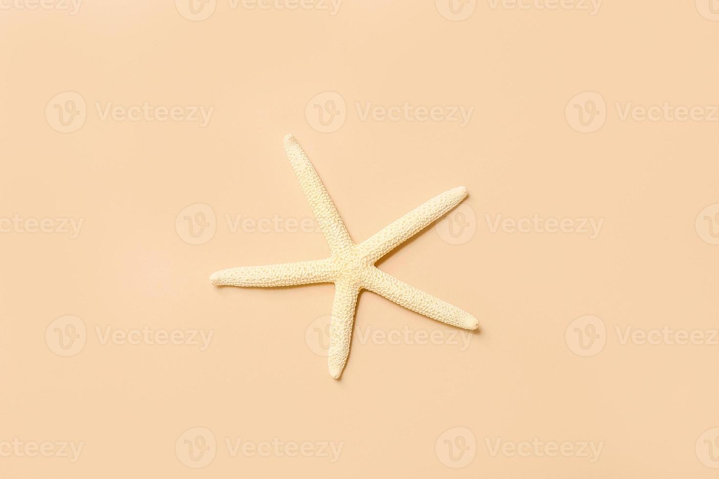 Starfish sea on beach beige background. Summer background. Decorative textile . Isolated object. photo