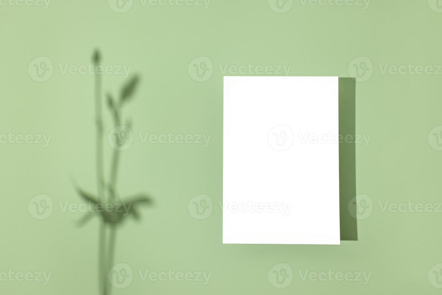Template paper with plant shadow on pastel green background , great design for any purposes. Abstract background. Banner template. Advertising photo