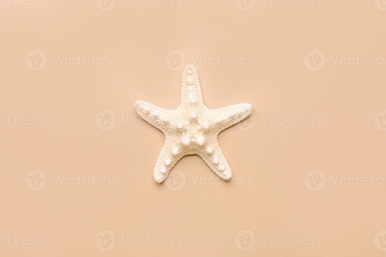 Starfish sea on beach beige background. Summer background. Decorative textile . Isolated object. photo