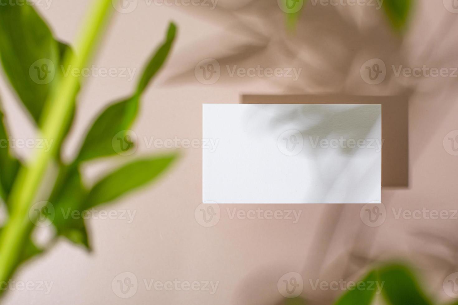 Template paper with green plant shadow on pastel beige background , great design for any purposes. Abstract background. Banner template. Advertising photo