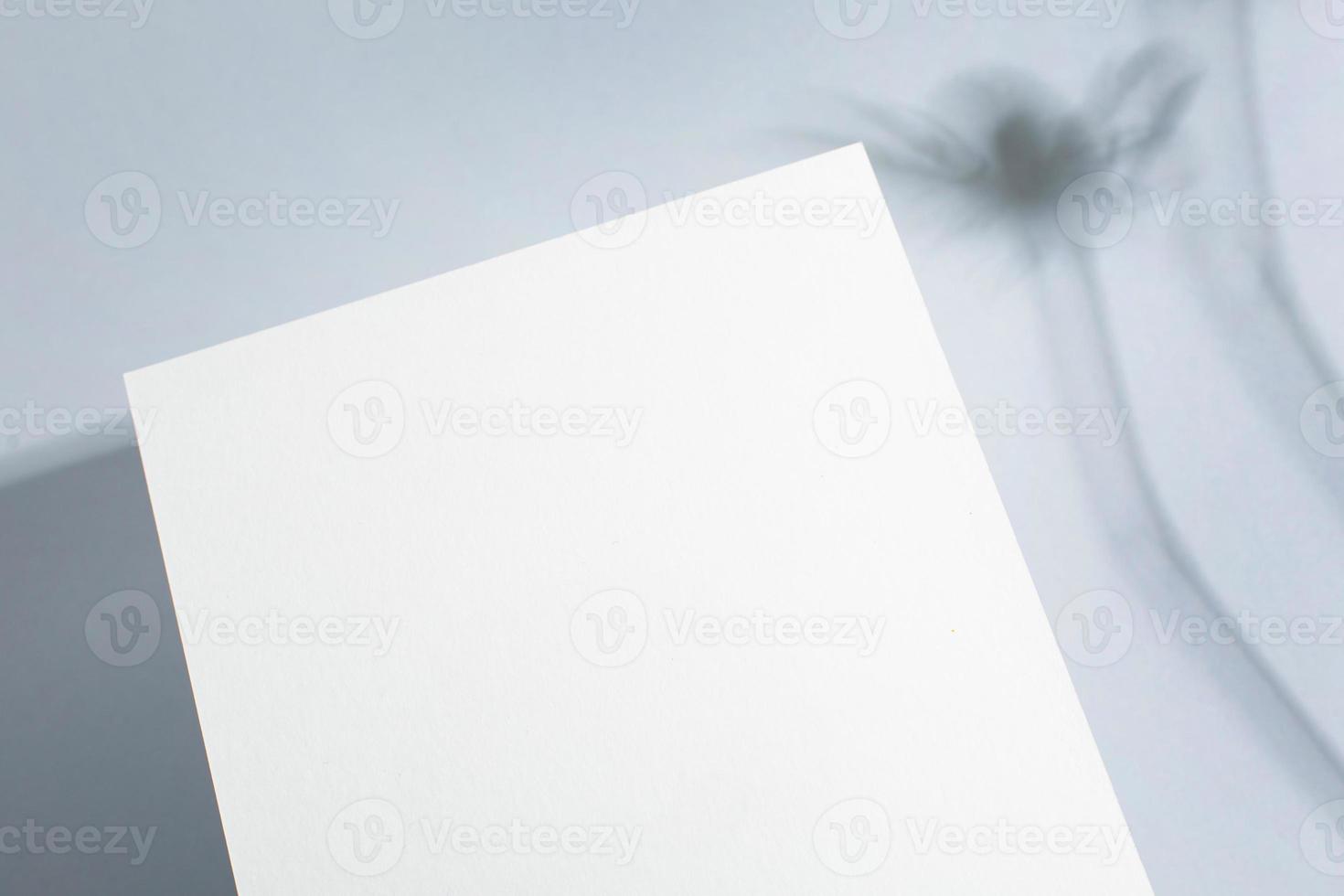 Template paper with green plant shadow on pastel beige background , great design for any purposes. Abstract background. Banner template. Advertising photo