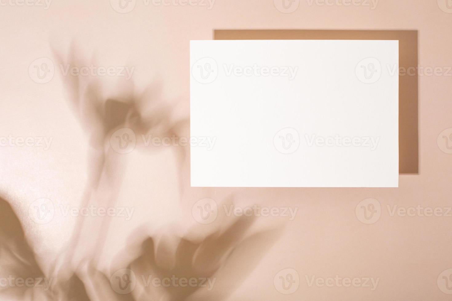 Template paper with green plant shadow on pastel beige background , great design for any purposes. Abstract background. Banner template. Advertising photo