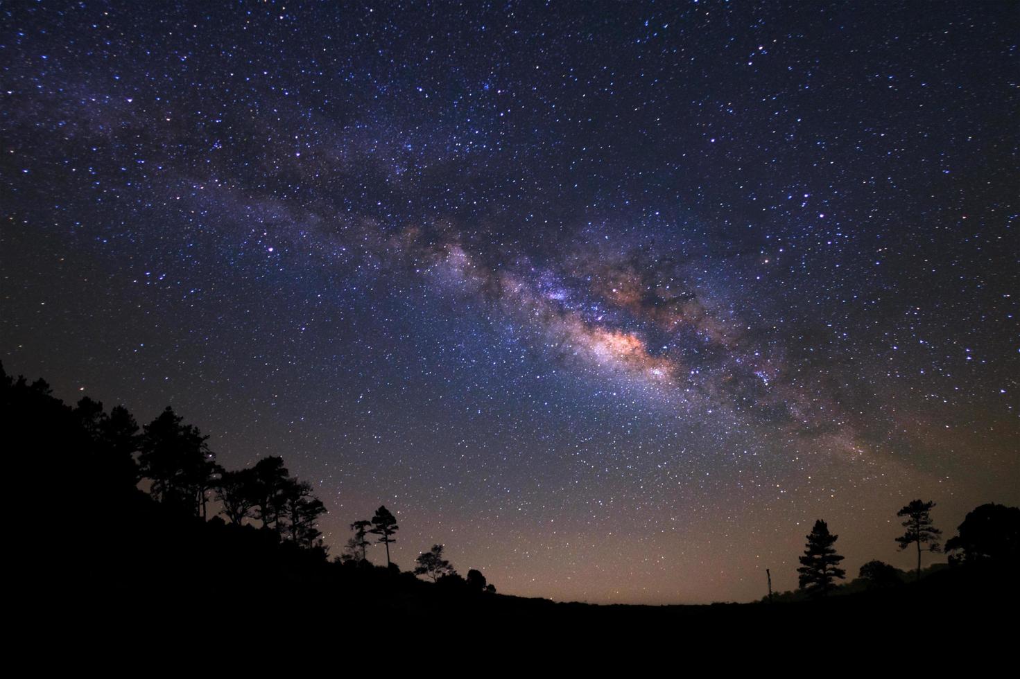Landscape silhouette of tree with milky way galaxy and space dust in the universe, Night starry sky with stars photo