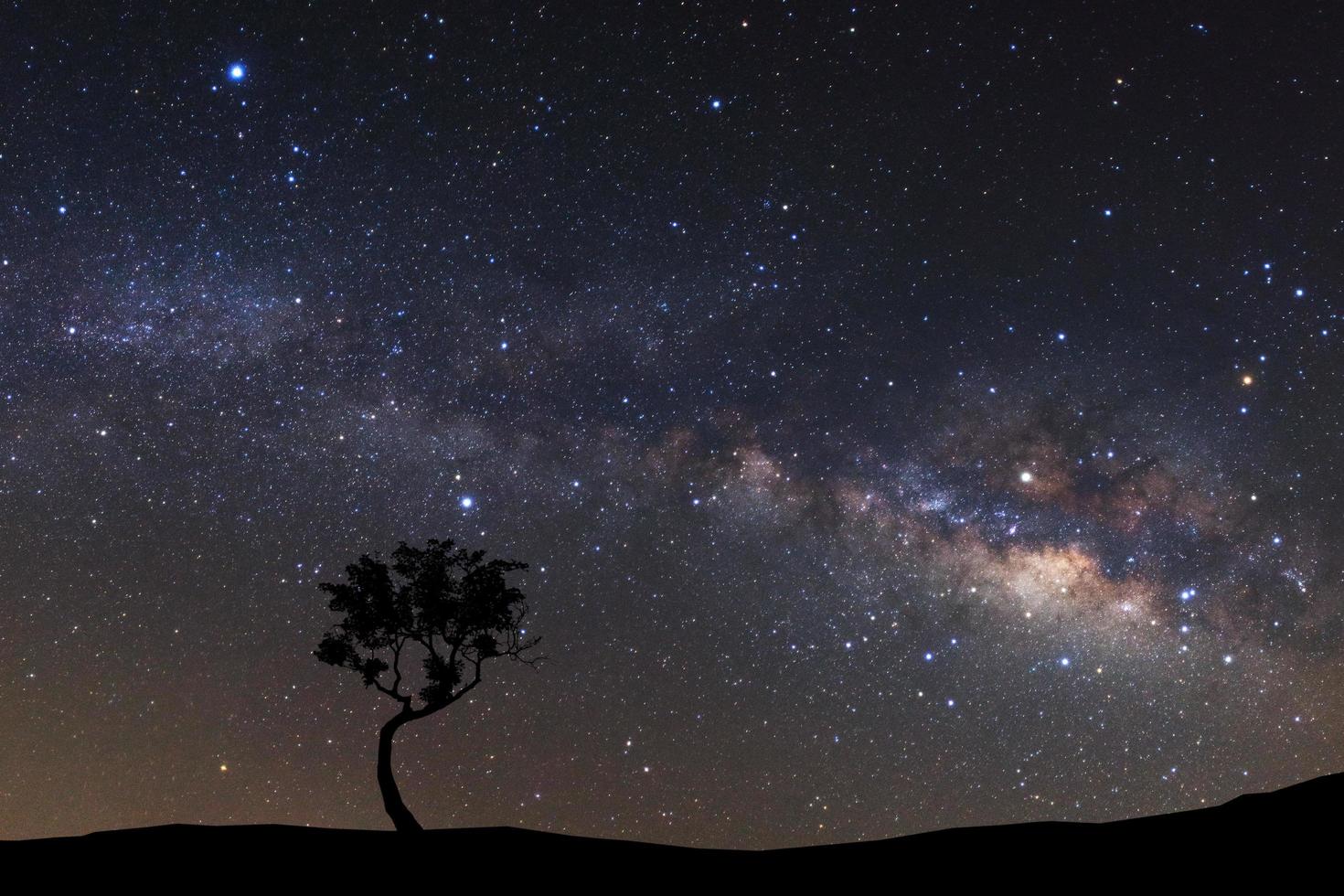 silueta paisajística de árbol con galaxia vía láctea y polvo espacial en el universo, cielo estrellado nocturno con estrellas foto