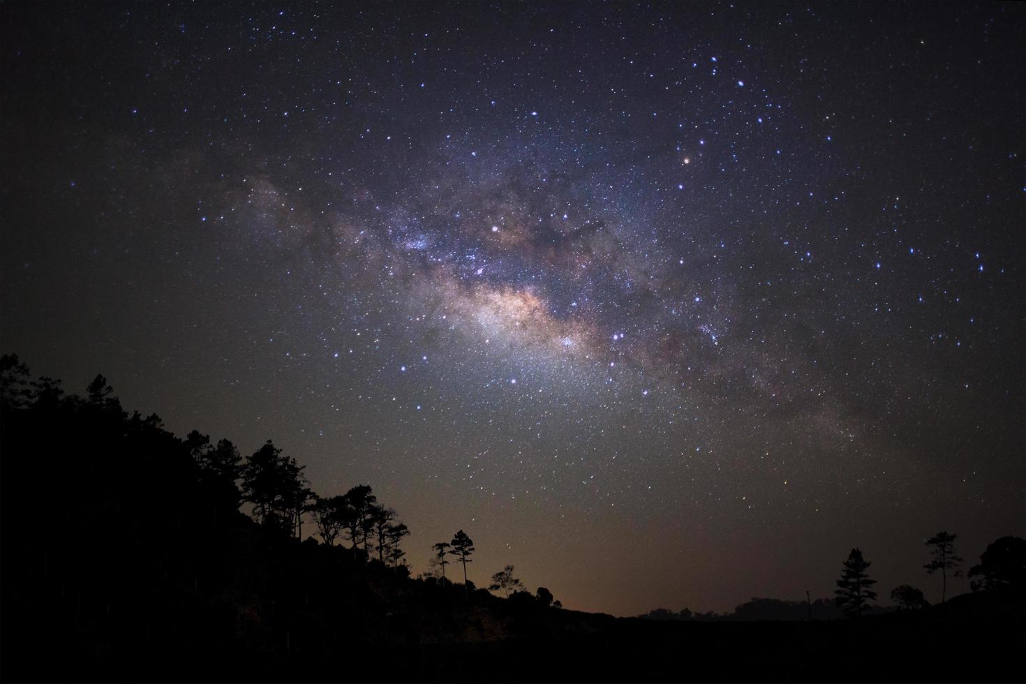 silueta paisajística de árbol con galaxia vía láctea y polvo espacial en el universo, cielo estrellado nocturno con estrellas foto