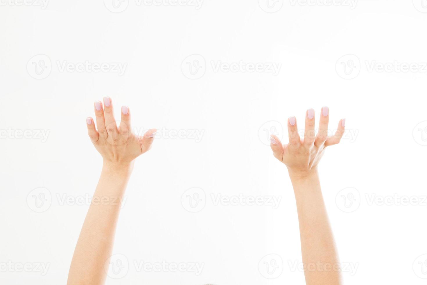 Two close woman hands isolated on white background. Copy space. photo