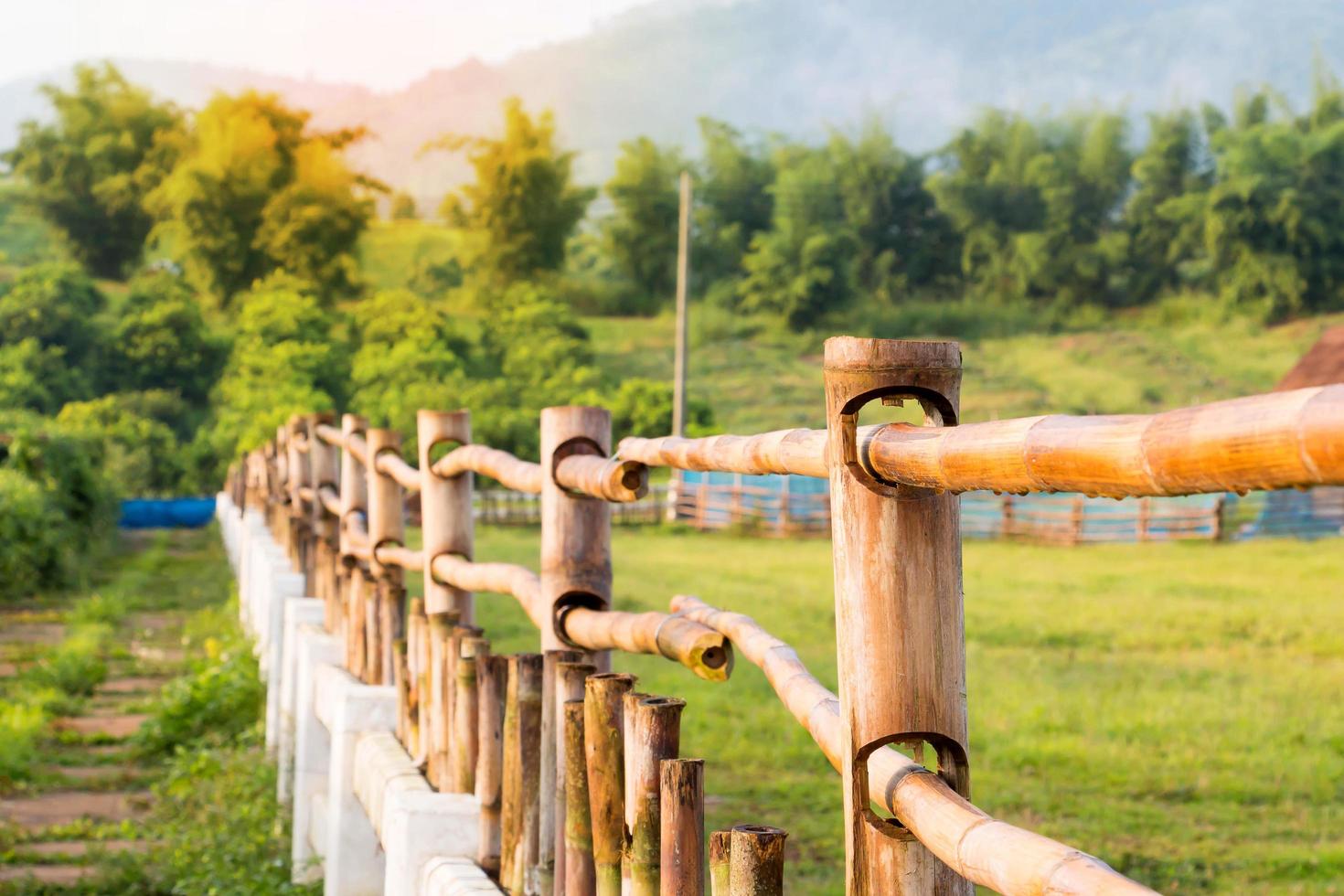 old bamboo fences in farm photo