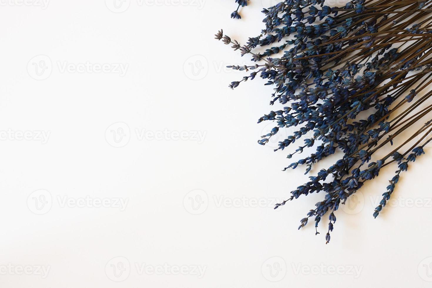 Lavender flowers on white background, dried flower photo