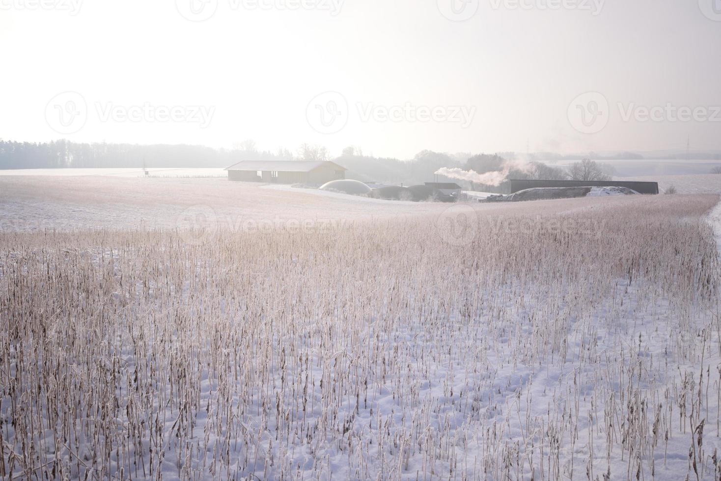 In Bavaria's winter landscape, a biogas plant stands behind an abandoned field with dry grass between snow photo