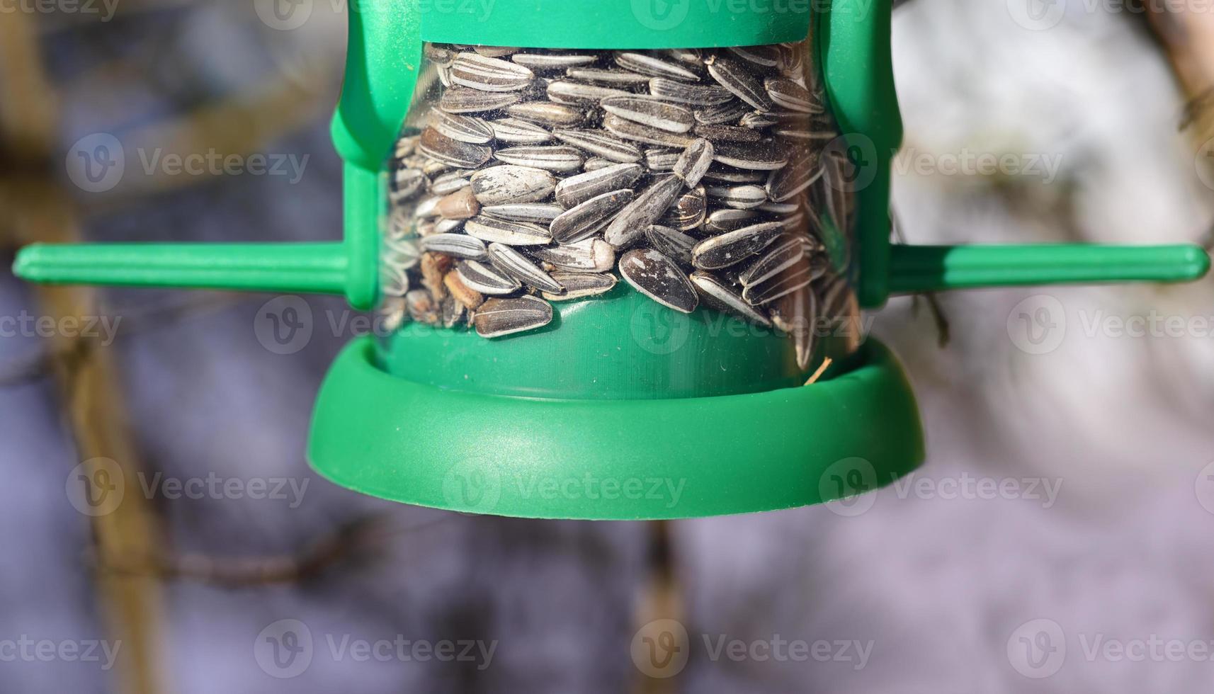 Close-up and detailed view of a feeding station for birds with sunflower seeds and a perch for the animals to sit on photo