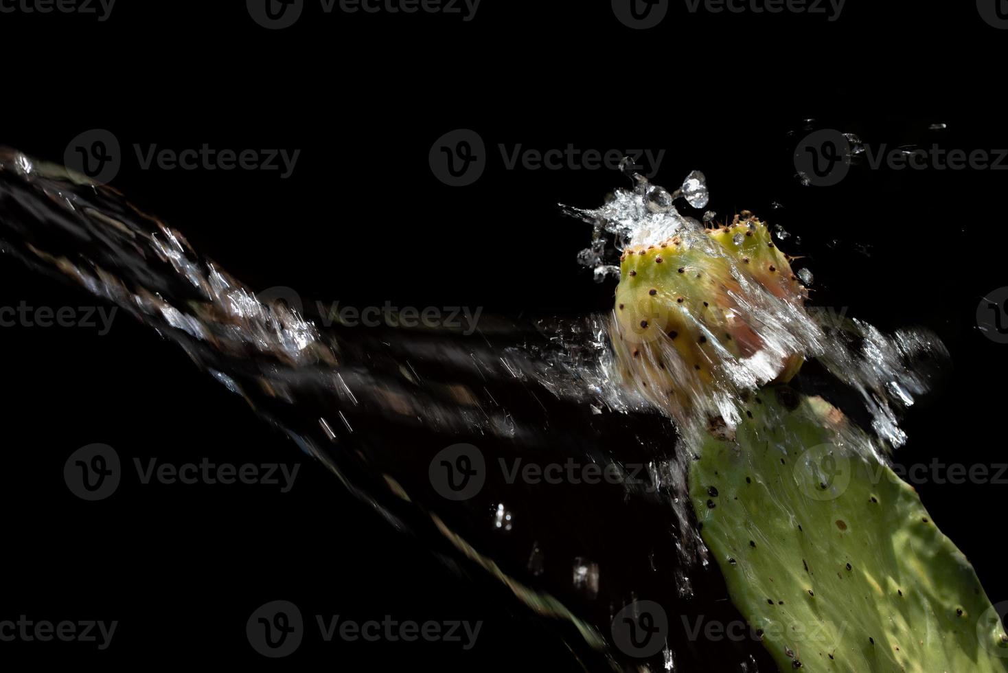 A gush of water is poured over a prickly pear with two fruits. The water drops jump in all directions. The background is black. There is space for text. photo