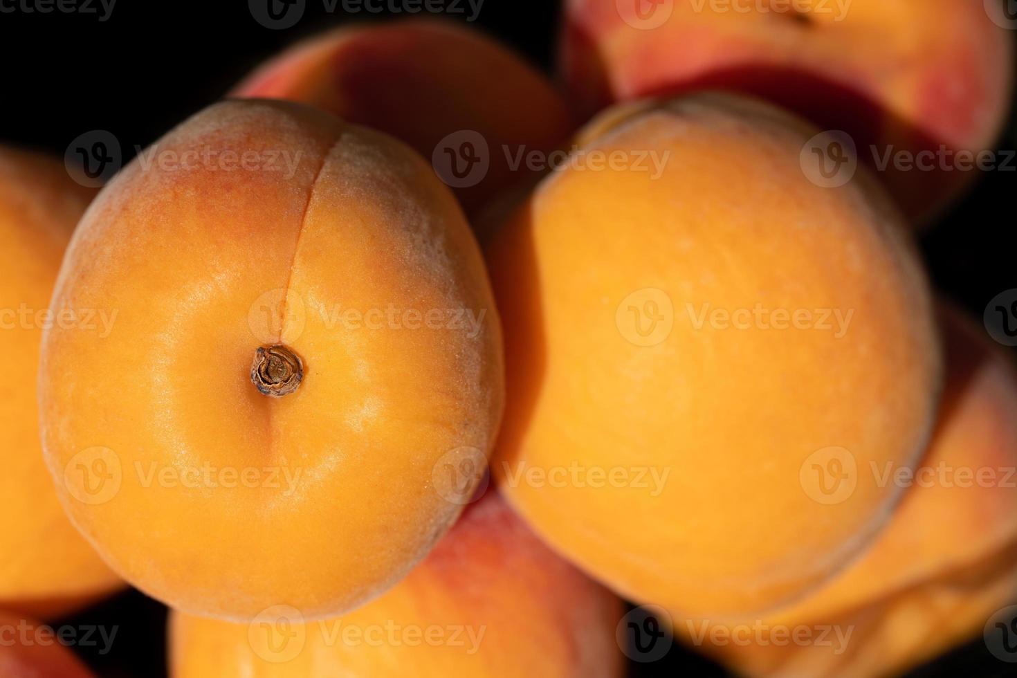 Close up of fresh ripe apricots lying on top of each other. photo