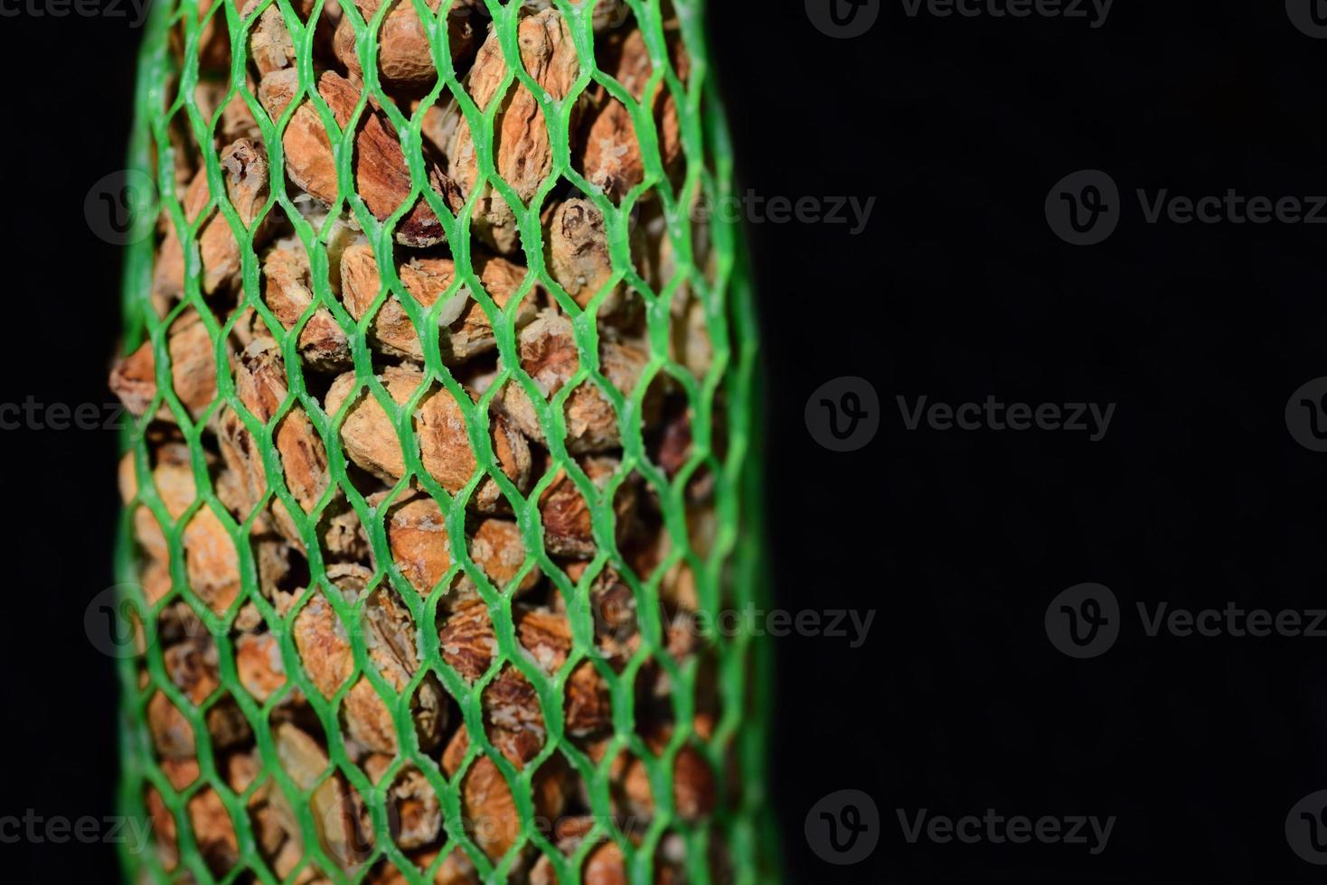 Close-up and detailed view of a feeding station for birds, consisting of different seeds that are fastened in a green plastic net photo