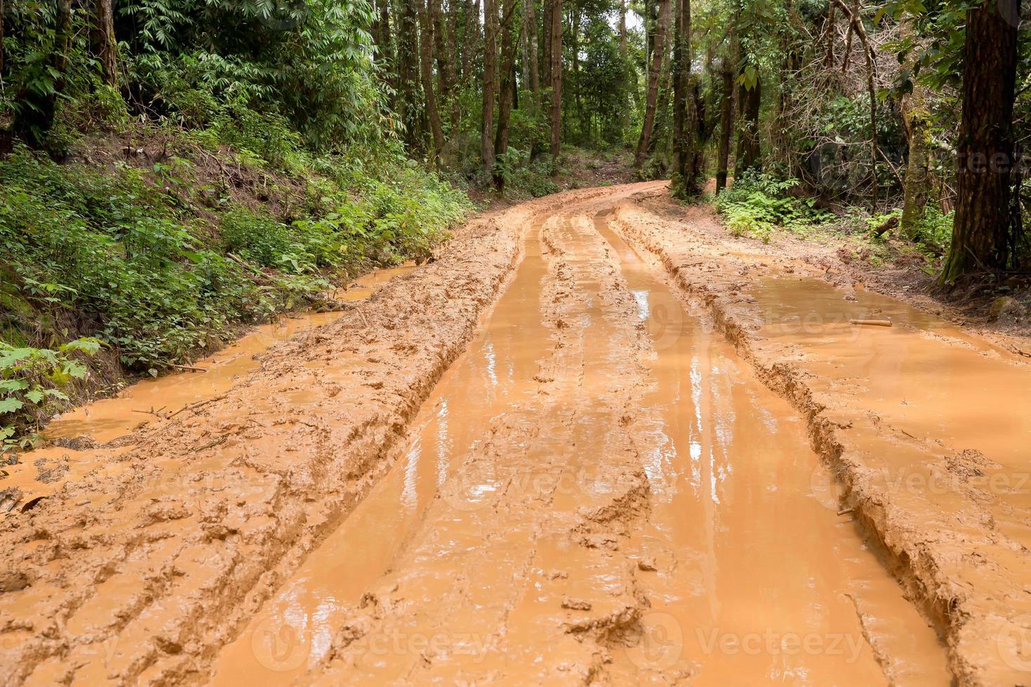 camino rural húmedo y fangoso en chiang mai, al norte de tailandia. pista sendero camino de barro en el bosque naturaleza paisaje rural. charco de arcilla marrón transporte en el país foto